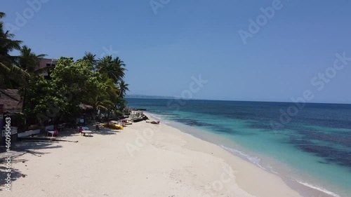 beach with trees and sea drone shots