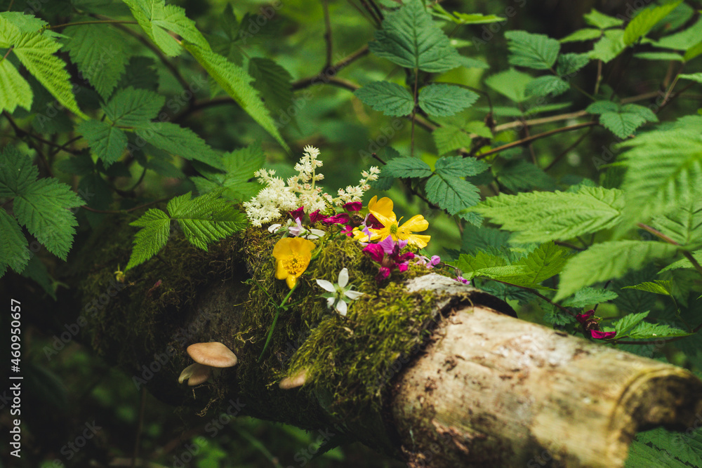 custom made wallpaper toronto digitalflowers on a tree in the forest