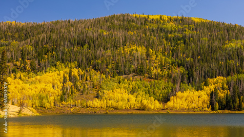 Colorado Fall Foliage
