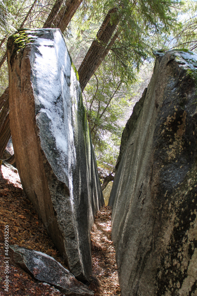 split rock in the woods