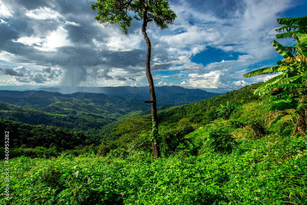 Obraz premium Natural high angle panoramic background With an atmosphere surrounded by mountains and trees, with a blurred wind, cool