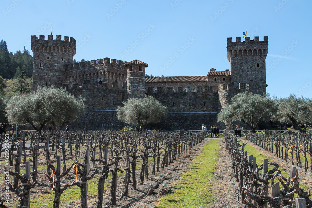 medieval castle by the vines