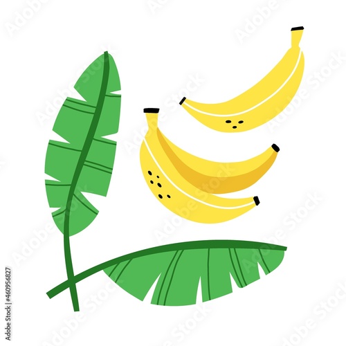 Bananas set. Exotic tropical fresh fruit, whole fruits and leaves vector cartoon minimalistic style isolated illustration, print or banner, label or poster, sticker