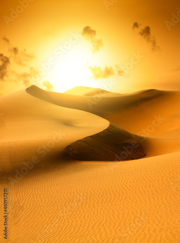 Gold desert. Sunset.
