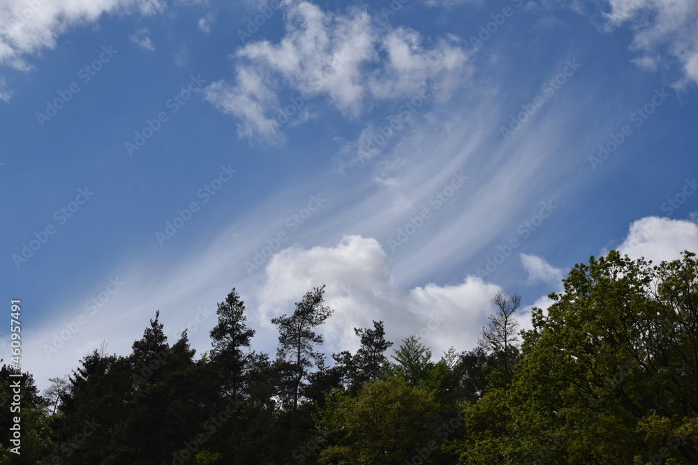 Priesendorf - Bayern - Deutschland - Wolkenschleier über einem Wald