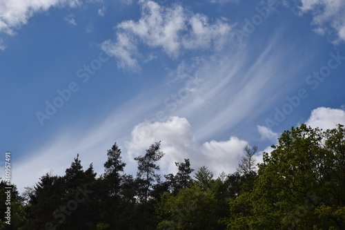 Priesendorf - Bayern - Deutschland - Wolkenschleier   ber einem Wald