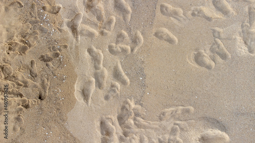 Footprints on the sandy beach and the sun is going down