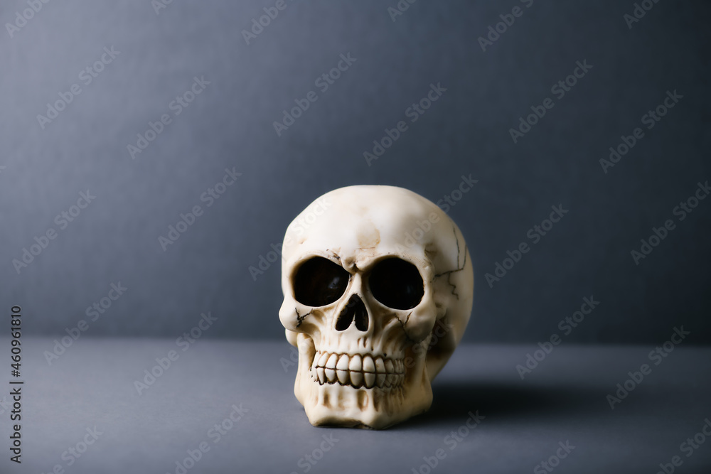 Fototapeta premium Skull on paper background. Copy space. 