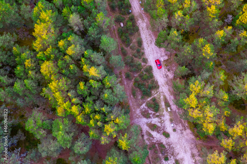 Aerial view from drone of road leading through autumn forests and red highlighted car and groves in yellow green colors. Dense forest in golden time in fall season. Roadway among colorful treetops 