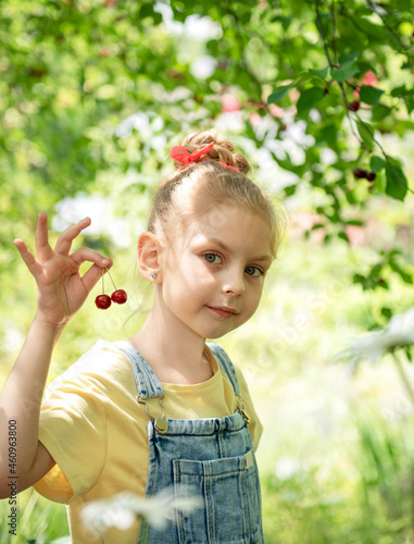 Little girl is picking cherries in the garden.