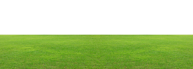 Green grass field isolated on white background, for montage product display. with clipping path