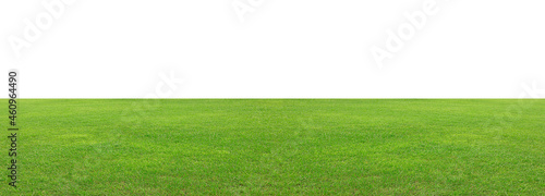 Green grass field isolated on white background, for montage product display. with clipping path © chiew