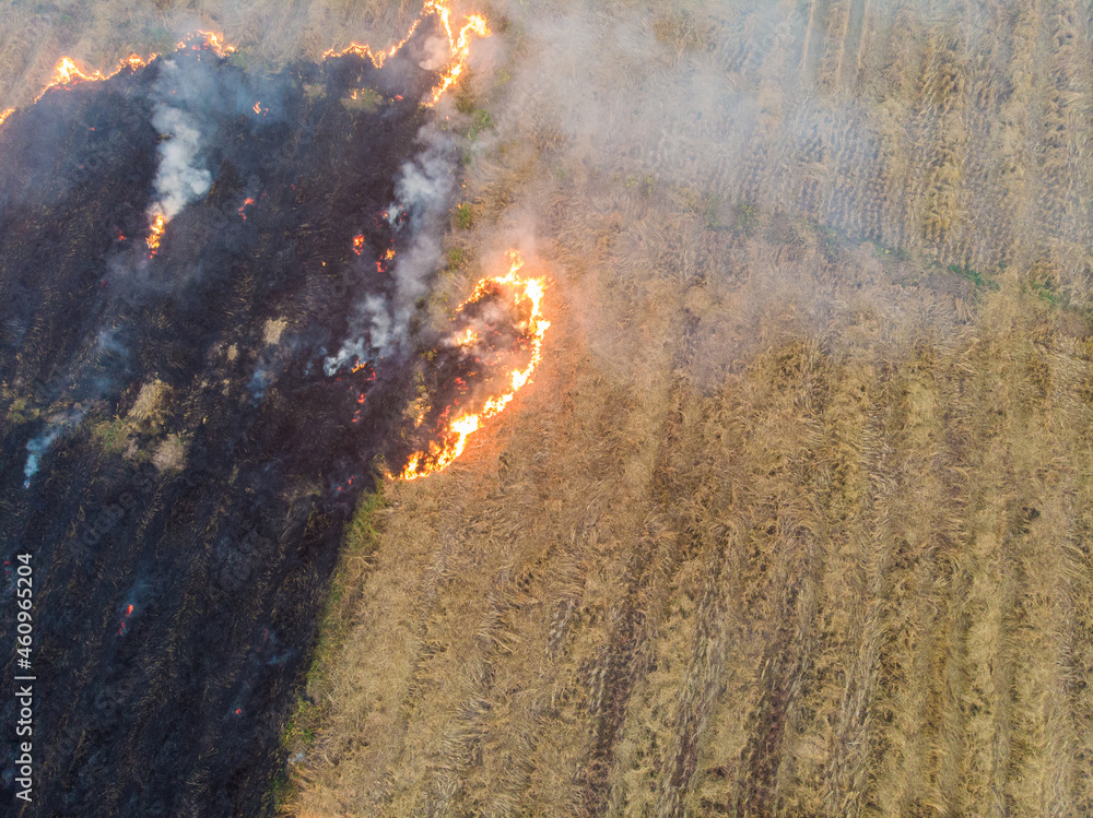 Rice farm burn fire after harvest cause of air pollution agricultural ...