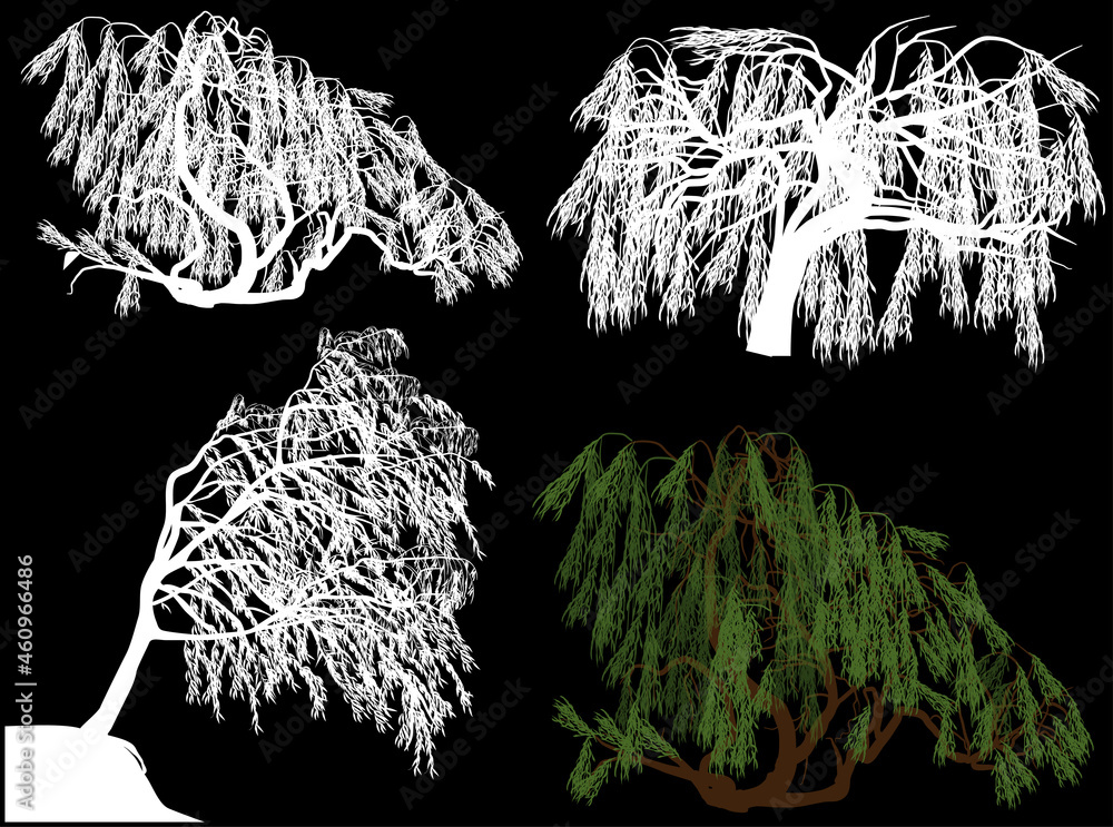 four weeping willows on black four weeping willows on black