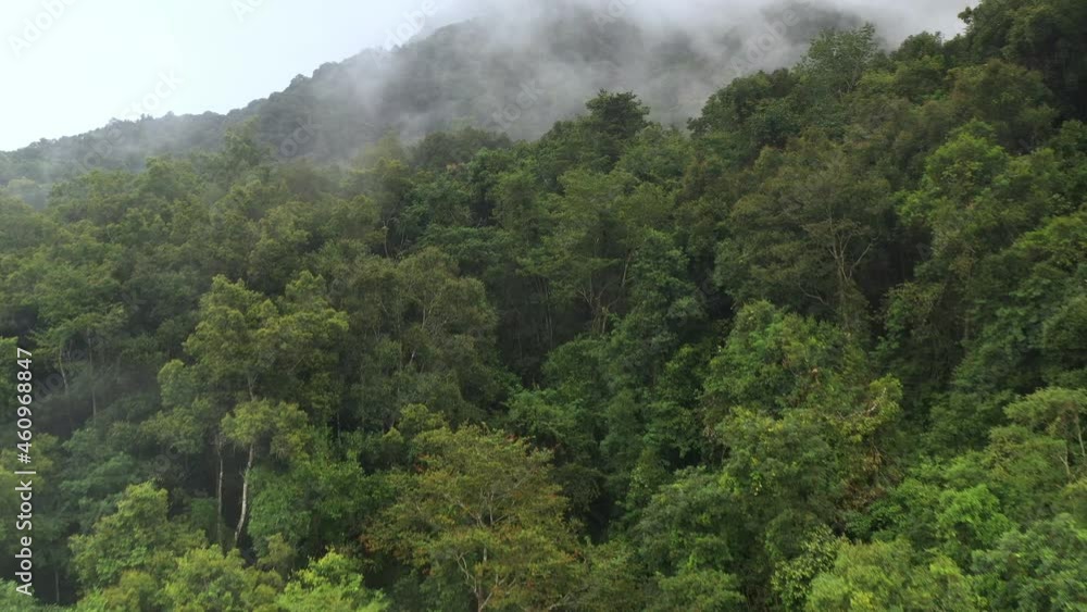 During the rainy season in northern, an aerial view of the forest amid the beautiful rain covering the tropical rainforest mountains. Nan, doi phuka. Thailand. Thailand's lush rainforests. 4k. During the rainy season in northern, an aerial view of the forest amid the beautiful rain covering the tropical rainforest mountains. Nan, doi phuka. Thailand. Thailand's lush rainforests. 4k.