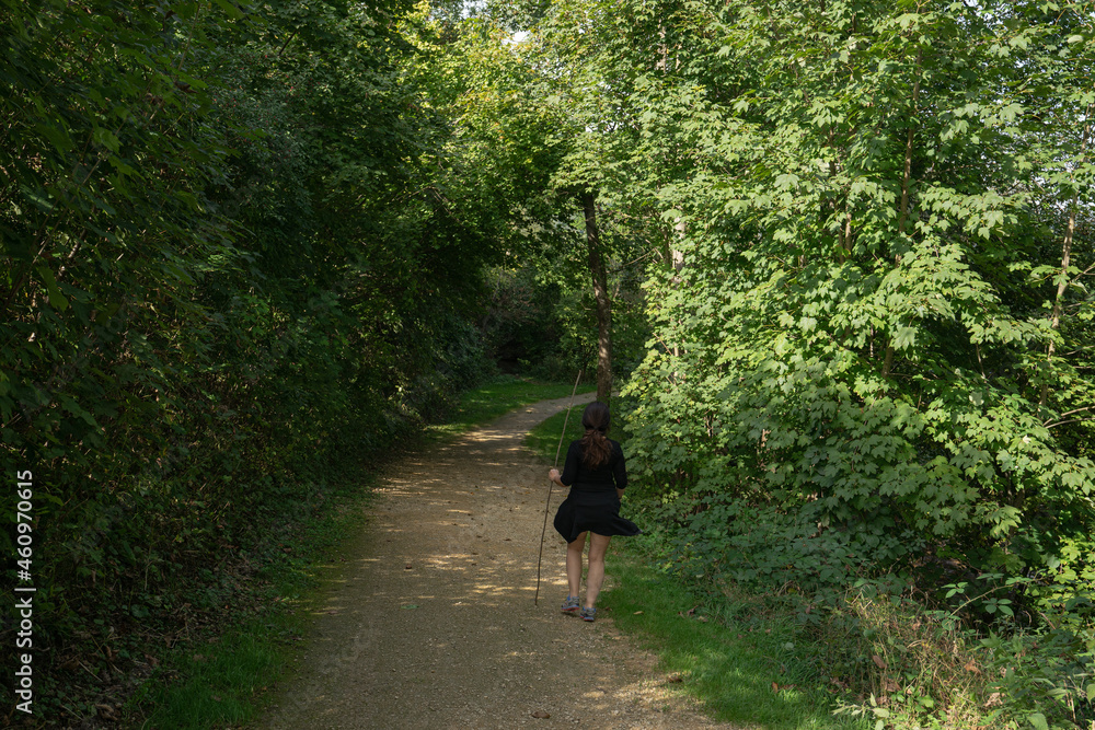 walking in the woods walking in the woods