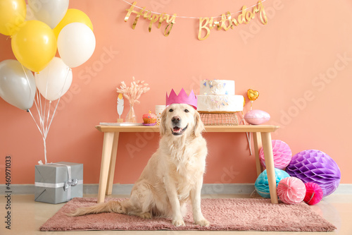 Adorable dog celebrating bi...