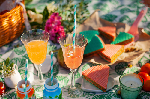 Summer picnic. Waffles, yogurts, fruits, wine in glasses, and basket on a plaid. © Aliaksandra Usava