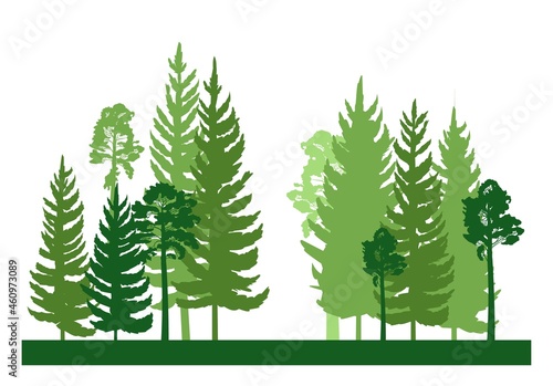 Forest silhouette scene. Landscape with coniferous trees. Beautiful green view. Pine and spruce trees. Summer nature. Isolated illustration vector