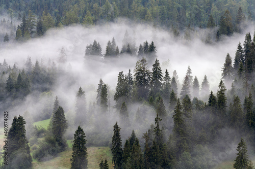 Morning mists on the Podhale slope. Mountain landscape. Podhale and Tatra Mountains views © roobcio