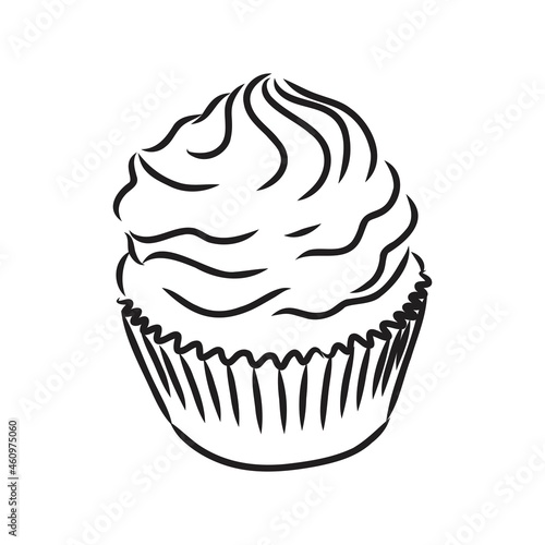 drawing of a cup cake cupcake vector sketch