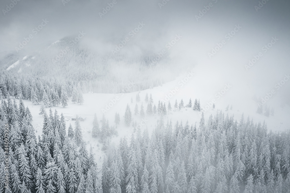 Splendid winter scene from a bird's eye view. - obrazy, fototapety, plakaty 