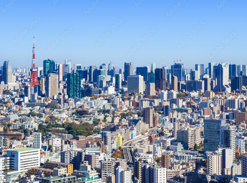Fototapeta premium 東京 青空と都市風景
