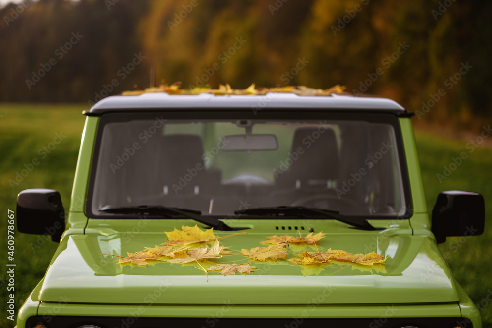 yellow fallen maple foliage lies on the hood of a bright light green car. the theme of autumn and traveling by car