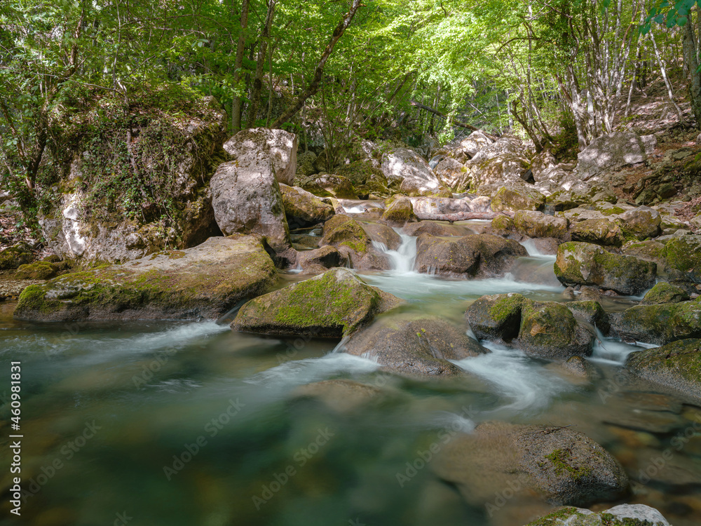 small river deep in the green woods. wonderful springtime scenery of mountains countryside. clear water among forest and rocky shore. wooden fence on the river bank. small river deep in the green woods. wonderful springtime scenery of mountains countryside. clear water among forest and rocky shore. wooden fence on the river bank.