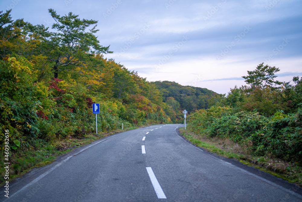 Fototapeta premium 宮城県栗原市、秋田県湯沢市、雄勝郡東成瀬村、岩手県一関市にある栗駒山を紅葉の時期に登山する風景A view of climbing Mt. Kurikoma in Kurihara City, Miyagi Prefecture, Yuzawa City, Akita Prefecture, during the autumn foliage season.