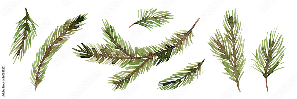 Fir branches watercolor set. Twigs of a Christmas tree. Pine. Conifers. Always green. Festive winter decor. Isolated over white background. Fir branches watercolor set. Twigs of a Christmas tree. Pine. Conifers. Always green. Festive winter decor. Isolated over white background.