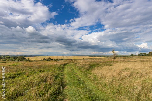 Road through fields. Country road in summer field and clouds on blue sky.