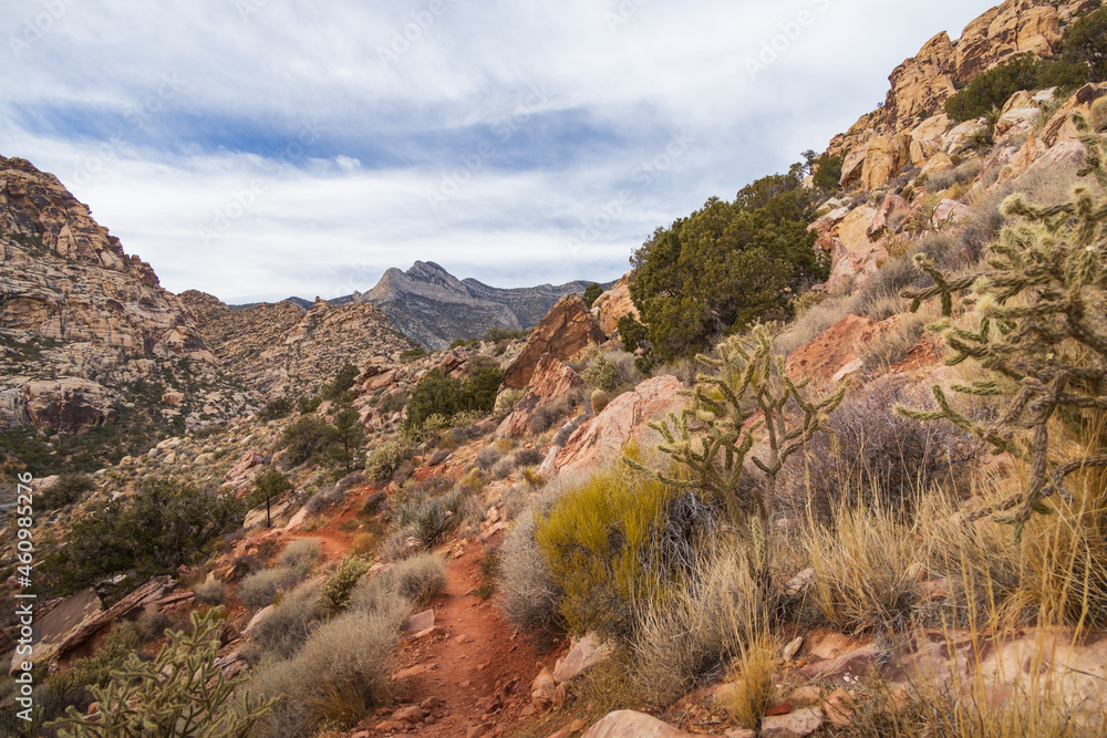 Obraz premium Hiking trail in Red Rock Canyon, Nevada, USA