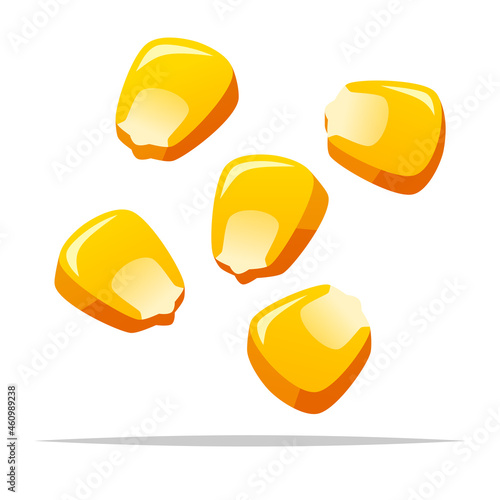 Corn kernel maize vector isolated illustration