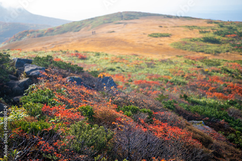                                                                                                                                              A view of climbing Mt. Kurikoma in Kurihara City  Miyagi Prefecture  Yuzawa City  Akita Prefecture  during the autumn foliage season.
