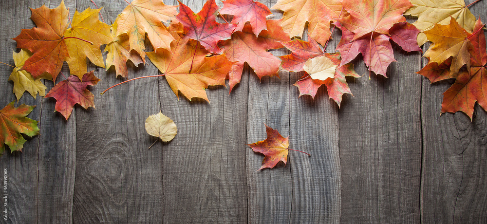 Fototapeta premium autumn leaf frame for words and inscriptions, copy space