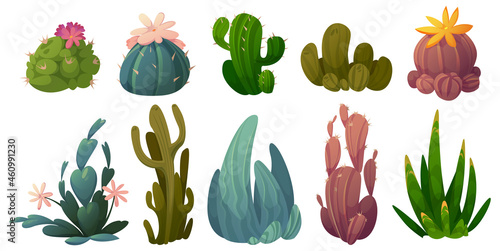 Set of cactus, desert cacti flowers stetsonia, carnegia, selenicereus and rhipsalidopsis with saguaro or opuntia. Cartoon blooming succulents with green prickly leaves and blossoms Vector illustration