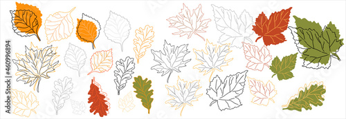 leaves of oak, maple, birch, alder trees, leaf fall, autumn, yellow leaves, red leaves,