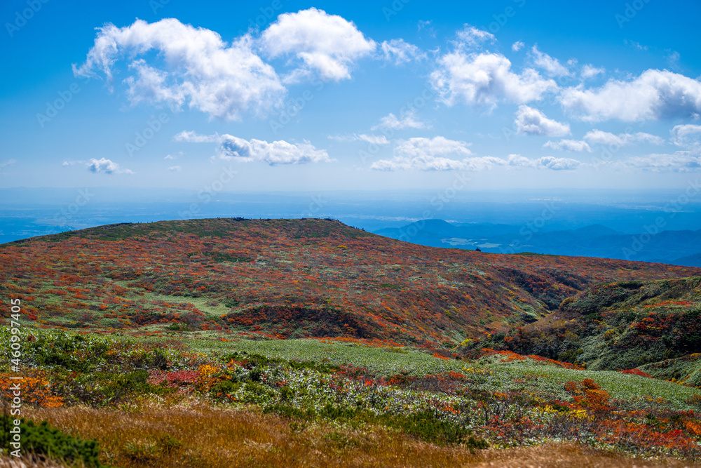 宮城県栗原市、秋田県湯沢市、雄勝郡東成瀬村、岩手県一関市にある栗駒山を紅葉の時期に登山する風景A view of climbing Mt. Kurikoma in Kurihara City, Miyagi Prefecture, Yuzawa City, Akita Prefecture, during the autumn foliage season.