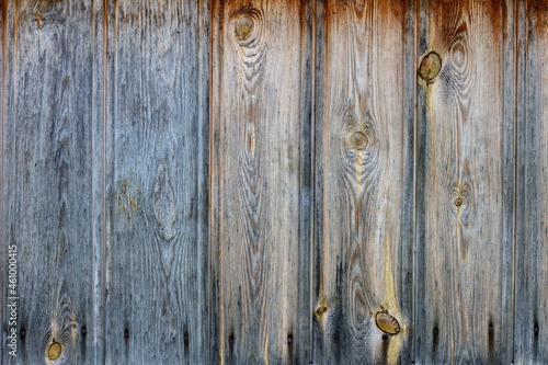 A background of gray boards with visible knots and nails