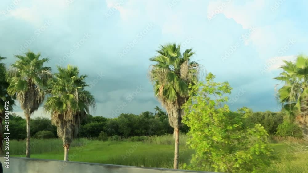 Driving on the highway, a lot of vegetation next to the road on a cloudy afternoon Driving on the highway, a lot of vegetation next to the road on a cloudy afternoon