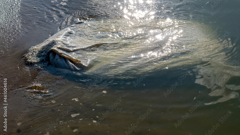 Obraz premium bag with garbage in the water