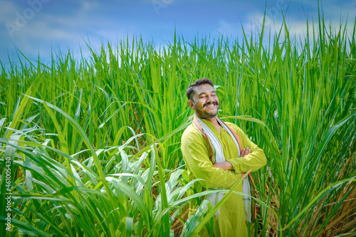 Indian farmer feeling happy and proud in sugarcane field