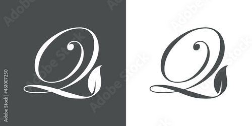 Logotipo letra inicial Q con hojas de planta en fondo gris y fondo blanco