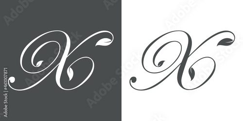 Logotipo letra inicial X con hojas de planta en fondo gris y fondo blanco
