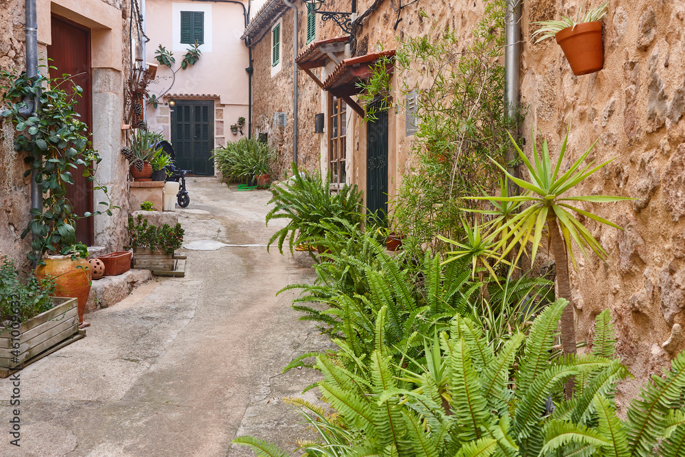 Traditional stone alley surrounded by plants in Mallorca, Spain