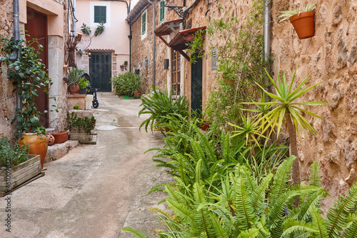 Traditional stone alley surrounded by plants in Mallorca  Spain