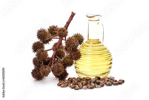 Ricinus communis or castor fruits,seeds and oil isolated on white background. photo
