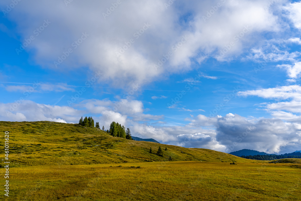 Fototapeta premium Postalm Berge Wiesen Dramatischer Himmel Wolken Gebirge Alpen Österreich Salzbuger Land Bäume 