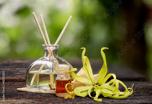 Ylang-ylang or cananga odorata flower on nature background. photo